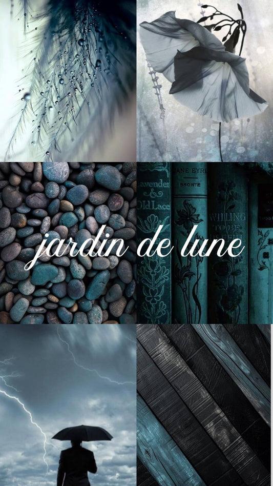 PRÉVENTE - Calendrier de l’Avent Pigment 2026 — Jardin de lune