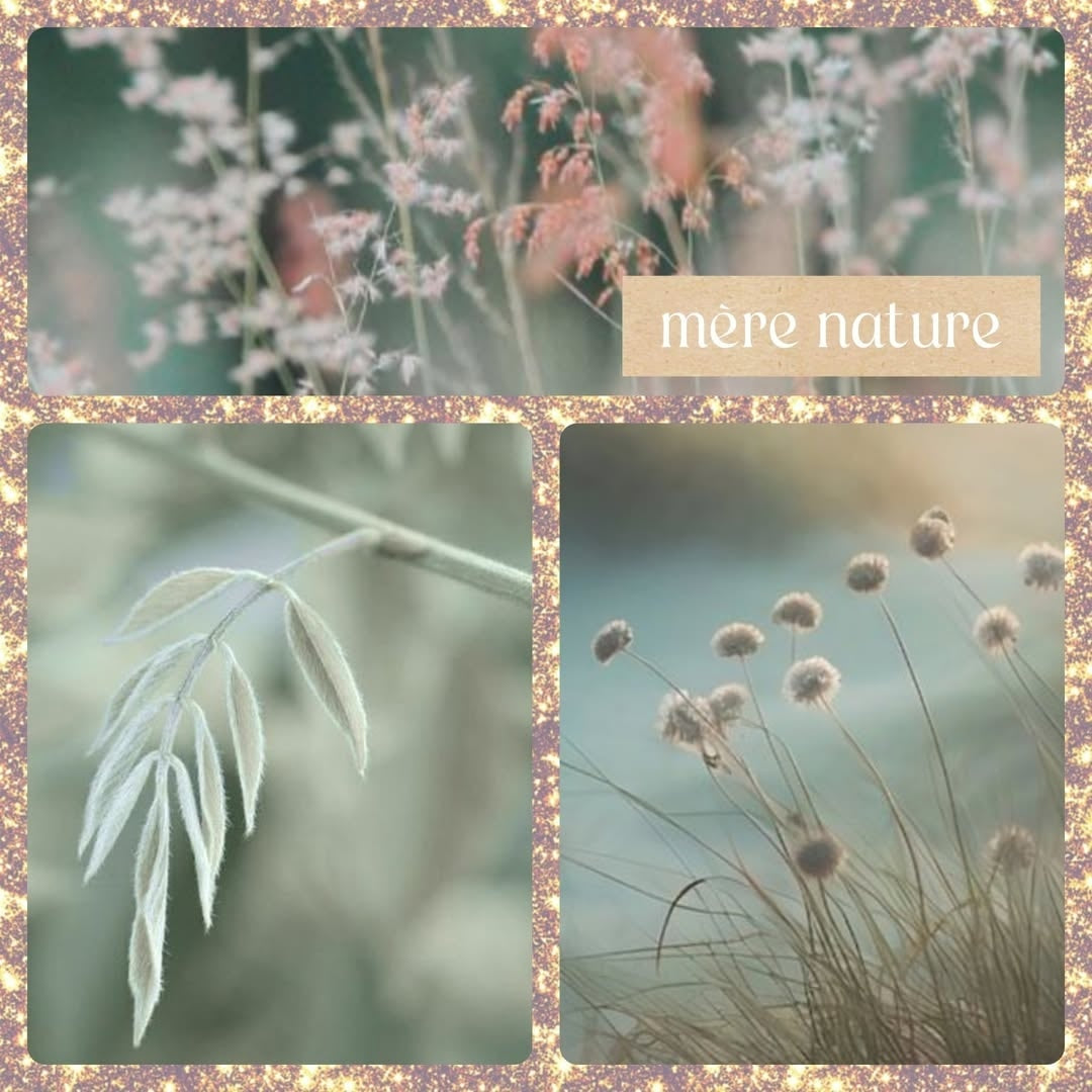 Demi-boite de Noel 2025 - Thème Mère nature - Kit chaussettes, patron et marqueurs