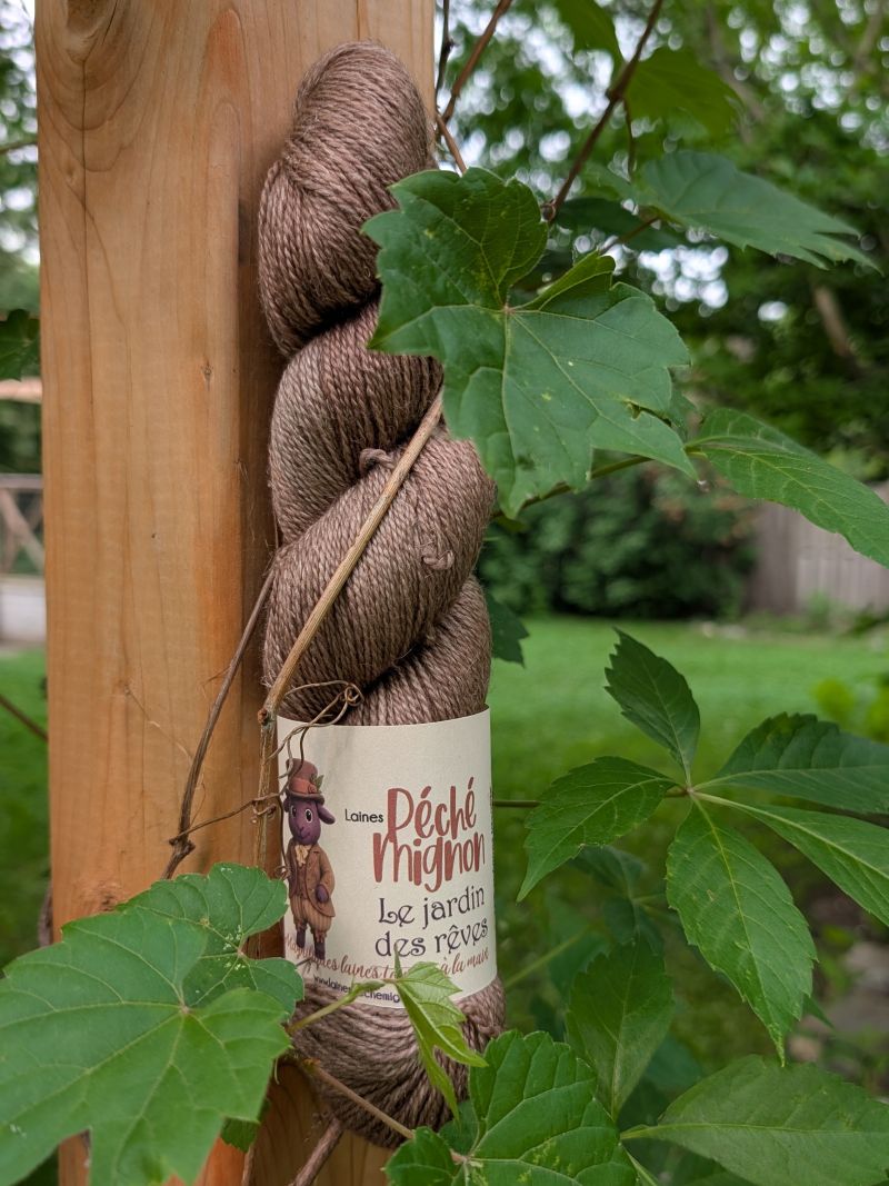 Laine Fingering mérinos yak lin superwash - Jardin des rêves - Aurore