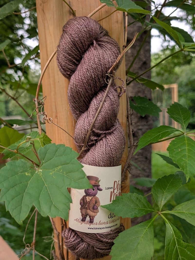 Laine Fingering mérinos yak lin superwash - Jardin des rêves - Ombrelle de brume