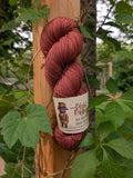 Laine Fingering Rambouillet Nylon superwash - Jardin des rêves - Fée du Marais