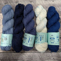 Laine Fingering Rambouillet Nylon superwash - Kit 4 demi écheveaux