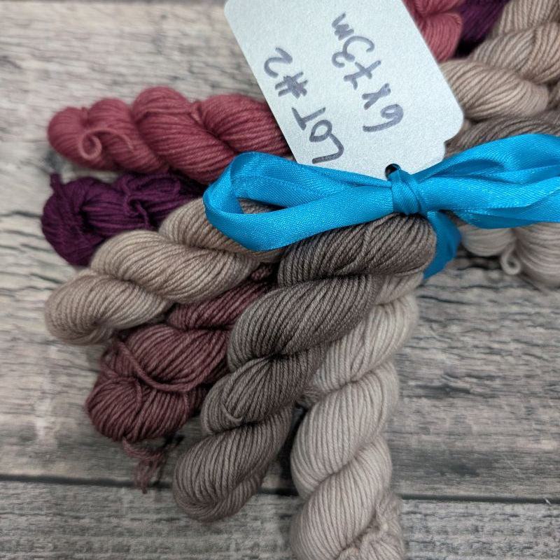 Lots de Mini Pigments Fingering Mérinos Nylon Classique - Plusieurs ensembles différents