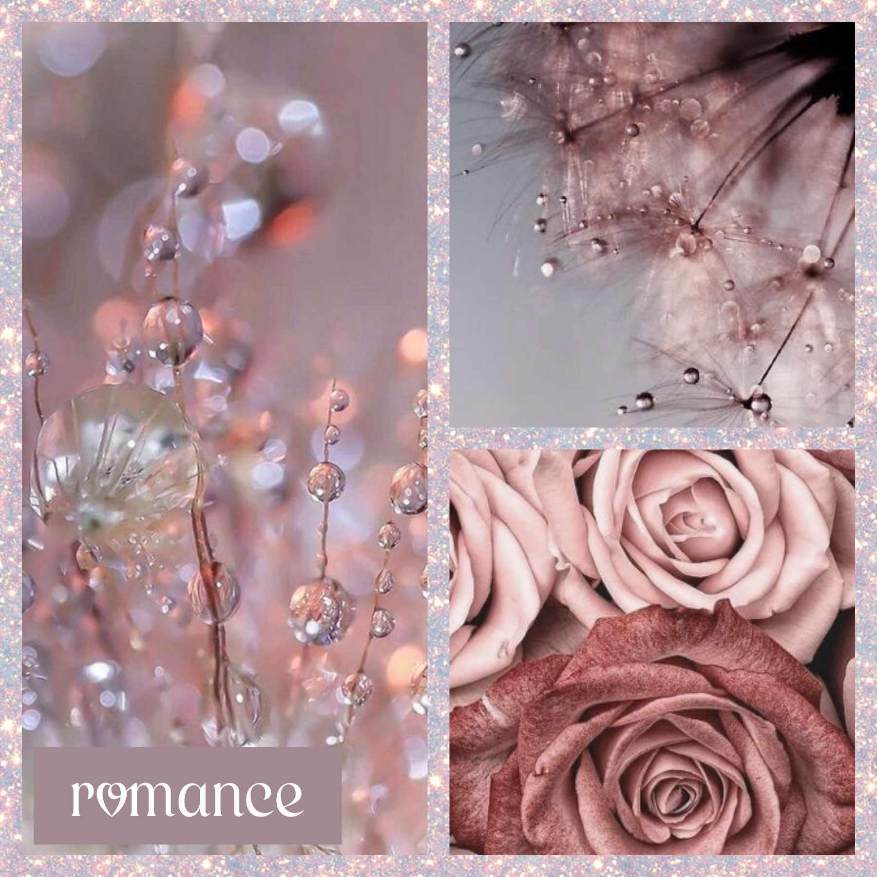 Prévente Boite de Noël 2025 - Romance