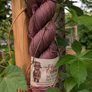 Laine Fingering Rambouillet Nylon superwash - Jardin des rêves - Ombrelle de brume
