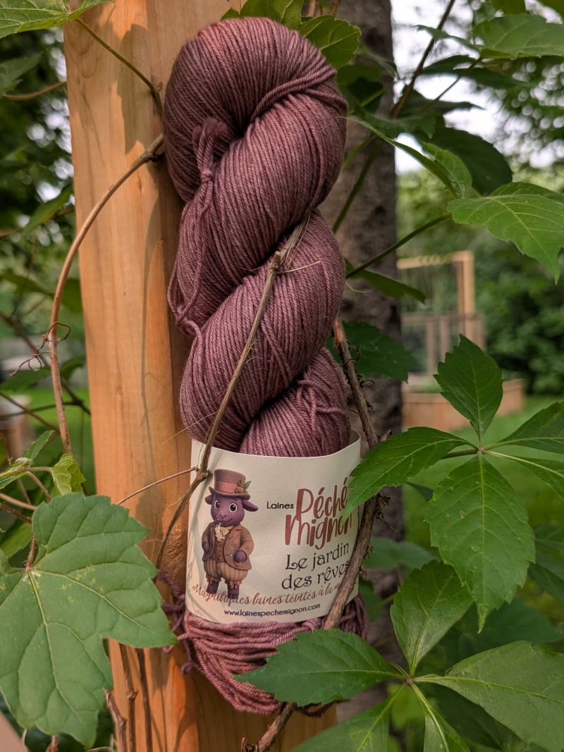Laine Fingering Rambouillet Nylon superwash - Jardin des rêves - Ombrelle de brume