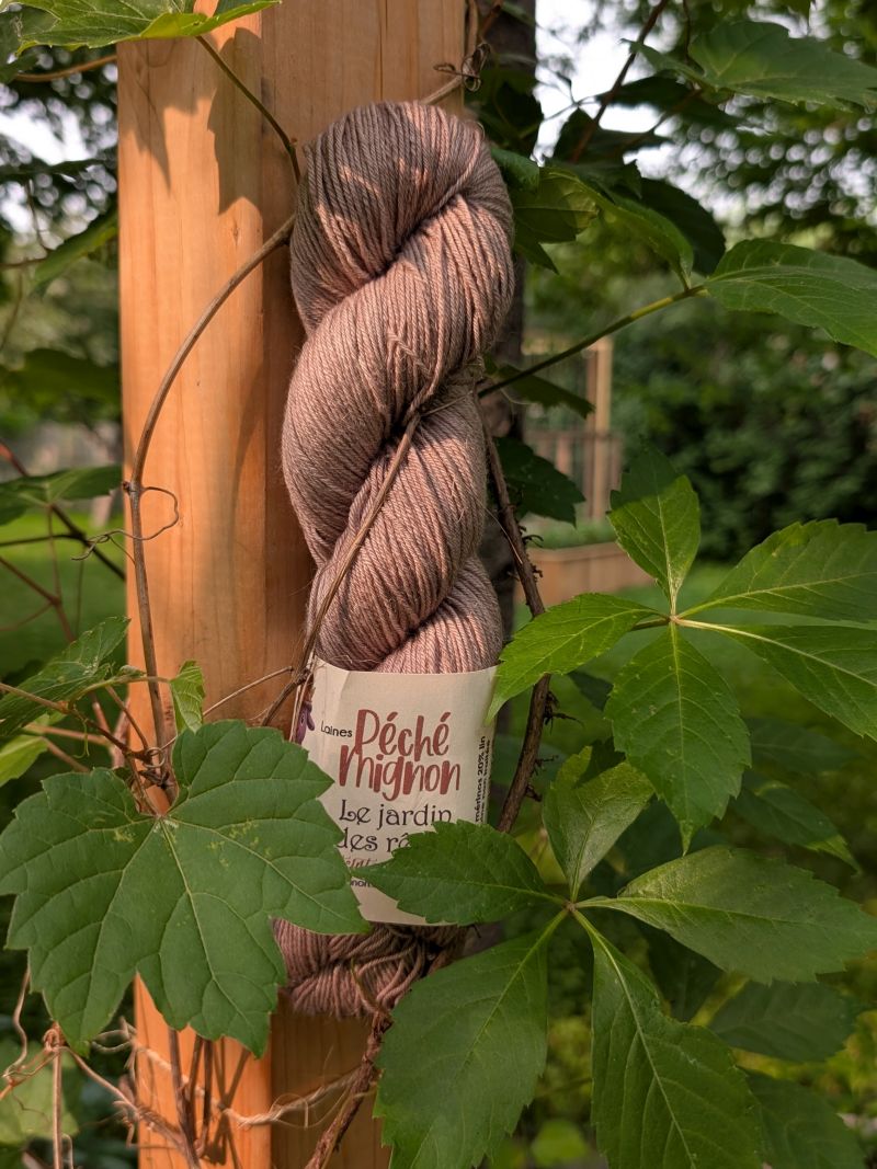 Laine Fingering mérinos lin non-traité - Jardin des rêves - Aurore