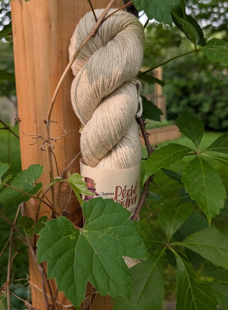 Laine Fingering mérinos lin non-traité - Jardin des rêves - Naturel