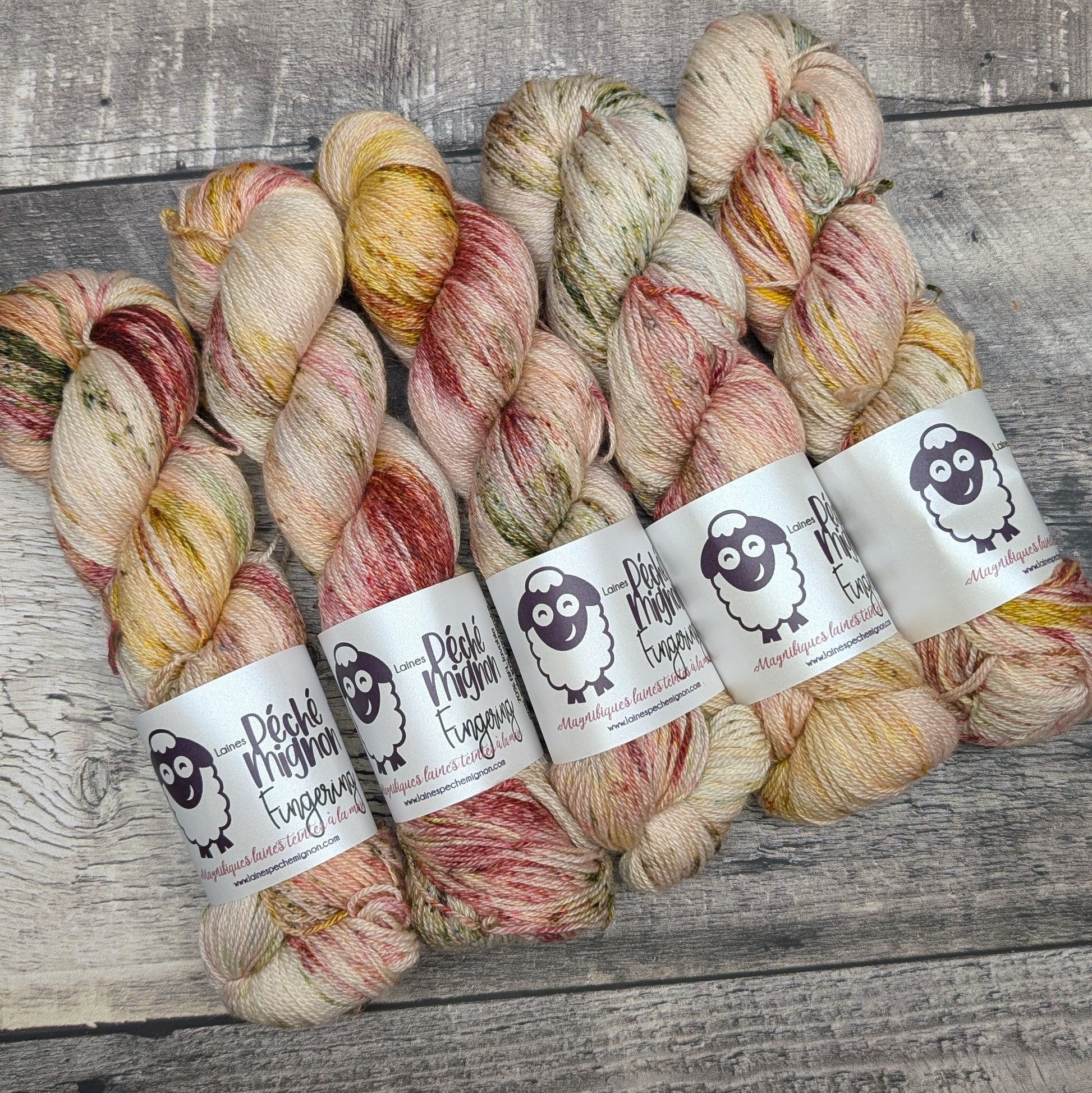 Fingering BFL soie cachemire (à l'unité) symphonie d'automne