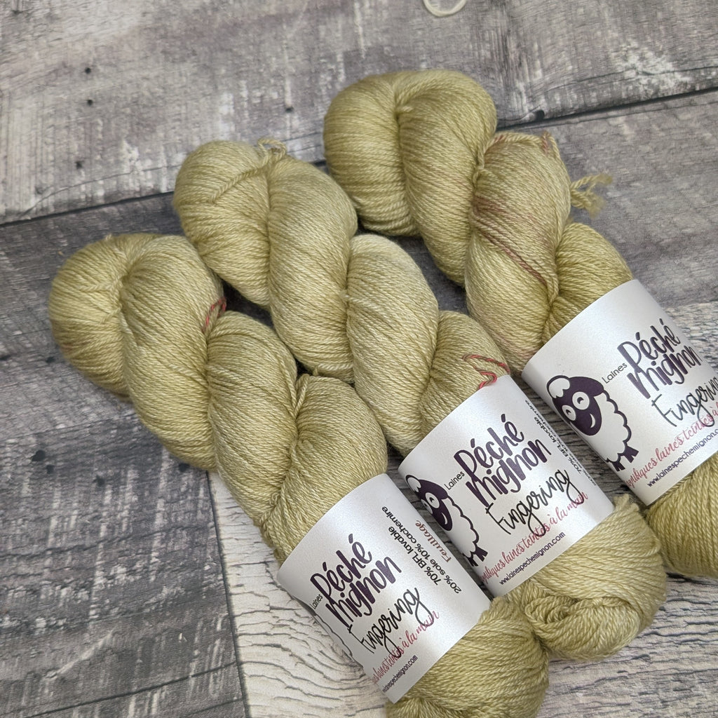 Fingering BFL soie cachemire (à l'unité) feuillage légère imperfections