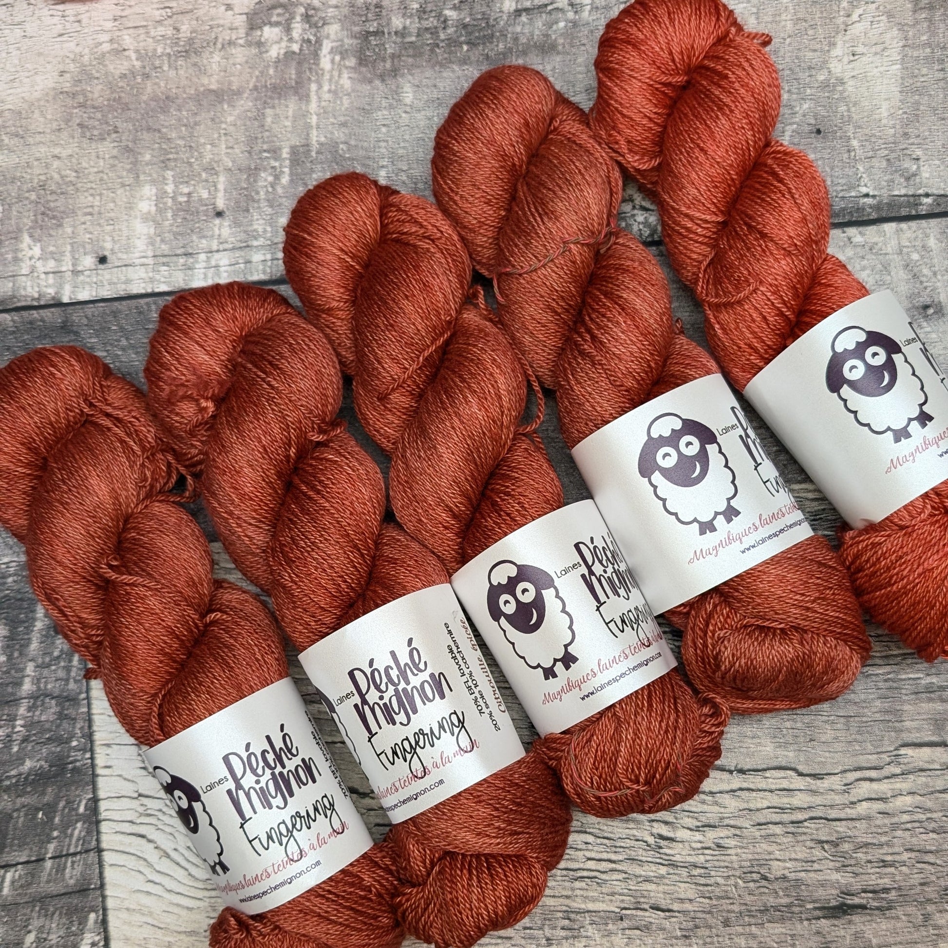 Fingering BFL soie cachemire (à l'unité) citrouille épicée