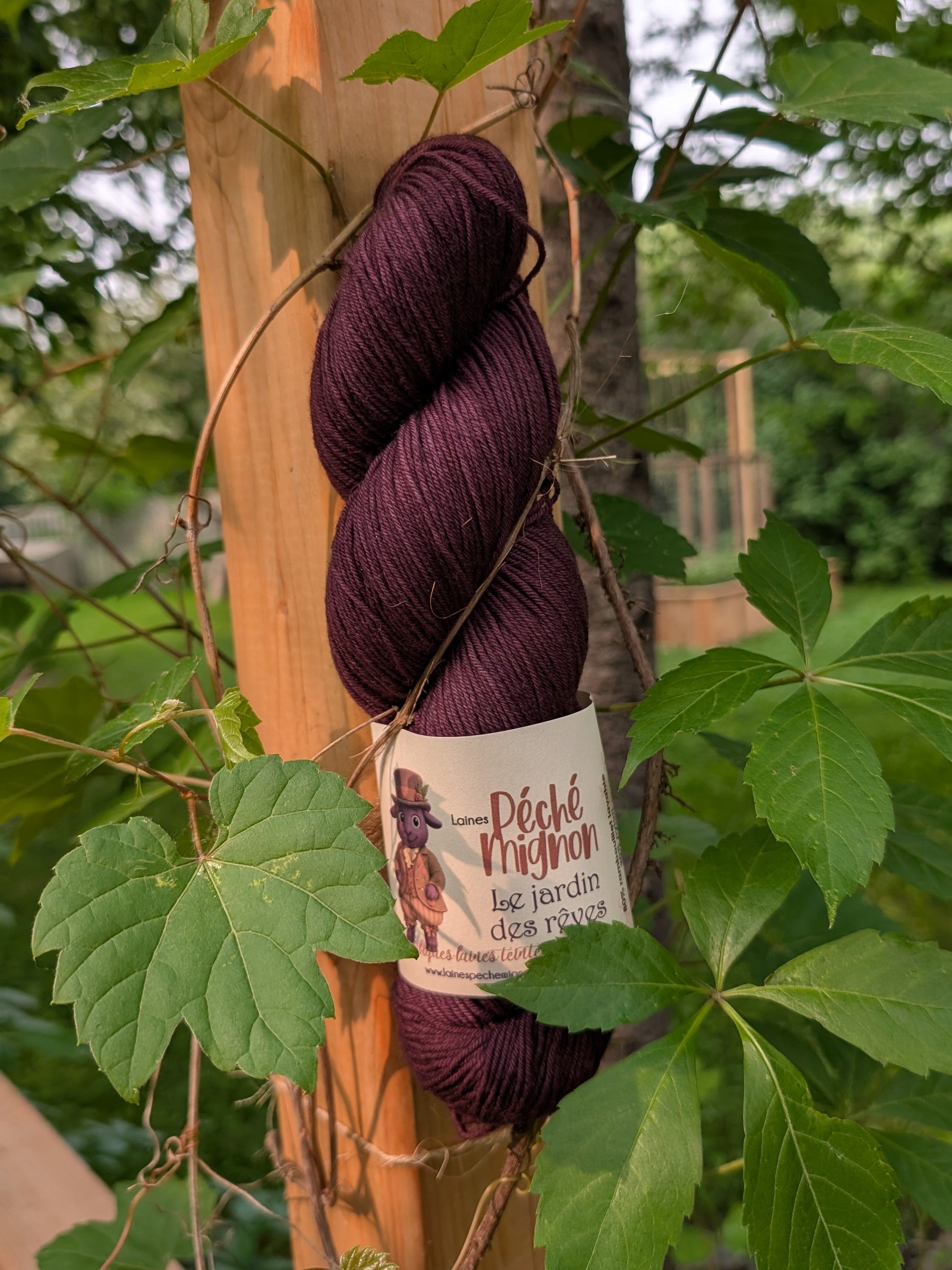 Laine Fingering Rambouillet Nylon superwash - Jardin des rêves - Vesperine