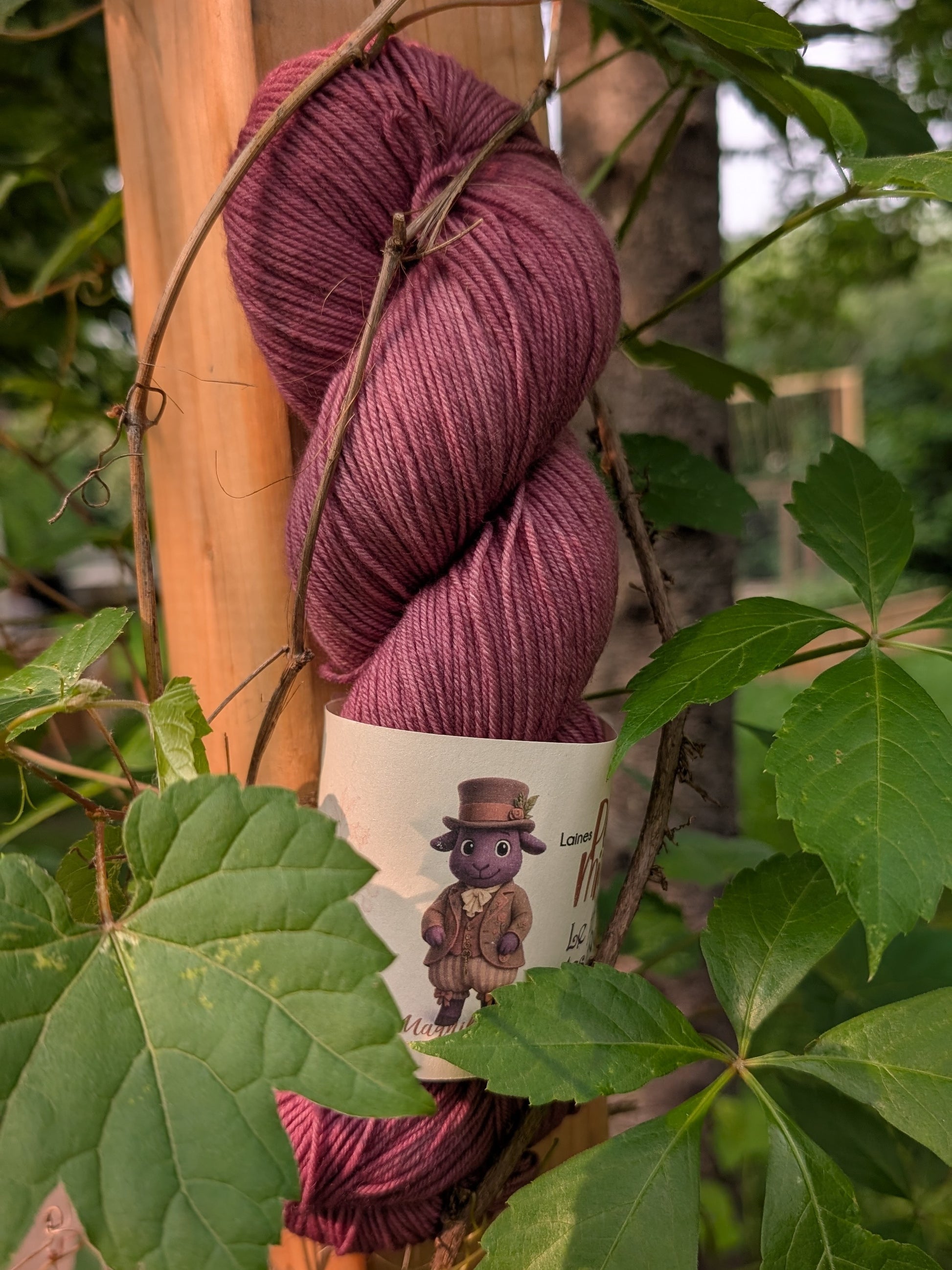 Laine Fingering Rambouillet Nylon superwash - Jardin des rêves - Rosa Obscura